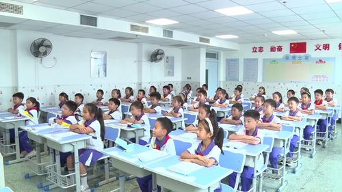 《观察的范围》北师大版四上数学2026展示课视频