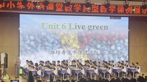 《Unit 6 Live green》外研版九上英语2026展示课视频