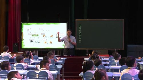 《整理与复习》人教版一上数学展示课视频