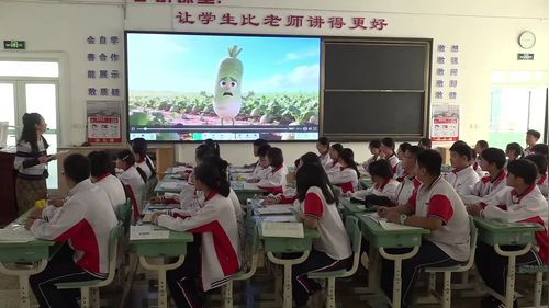 《核酸是遗传信息的携带者》人教版高一生物必修一2026青年教师创新课堂教学大赛一等奖视频