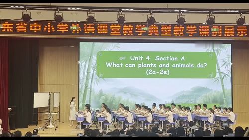 《Unit 4 Section A What can plants and animals do(2a-2e)》人教版八上2026山东初中英语优秀课例展示课视频