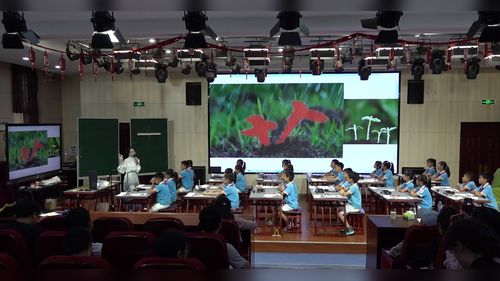 《草字头》2026小学书法教学展示课视频
