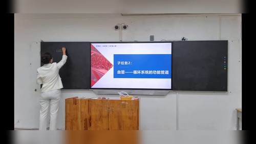 《血管》济南版八下生物2025山东中小学青教赛视频