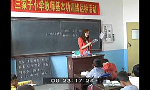 《两只小狮子》王翠娟-小学语文课堂教学研讨优质课教学实录视频