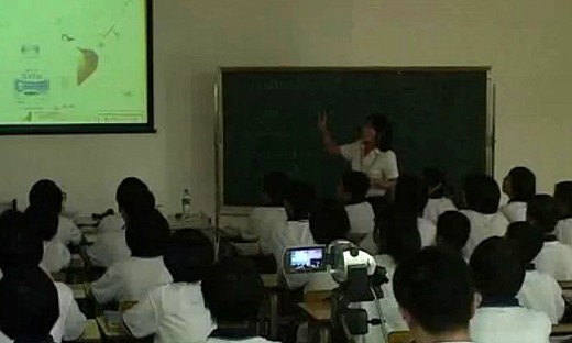 初中英语教师听说课教学比赛视频Do you like bananas李老师