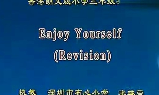 Revision Enjoy Yourself - 优质课公开课视频专辑