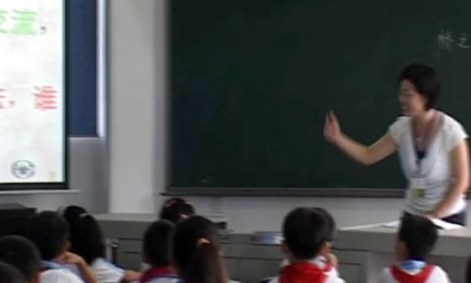 小学四年级语文优质课视频《桥之思》张晓洁
