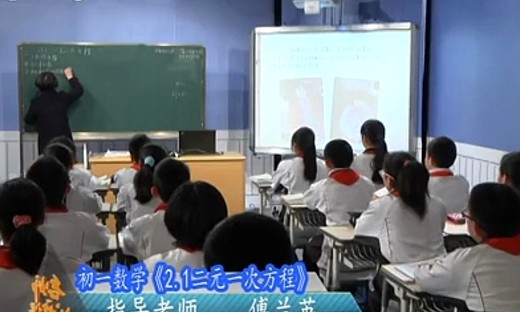 《二元一次方程》初一数学优质课视频-郑永杰