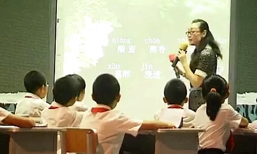 《槐乡五月》小学语文教师培训示范课教学视频-黄河