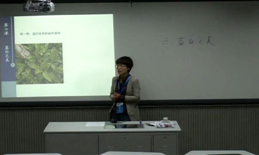 《蓝白之美》初中美术模拟上课视频-南京教学基本功竞赛视频（一）