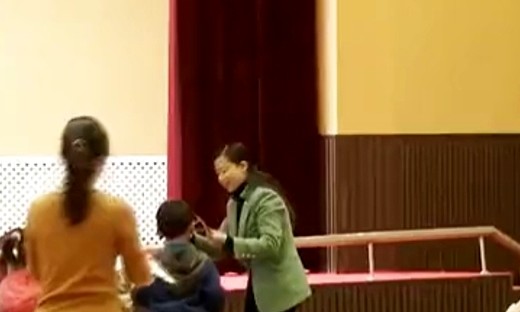 《秋叶》贵州省第五届幼儿园优质课堂实录视频