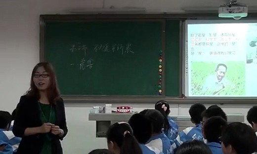 《不为追星所累》贵州省第五届初中政治优质课