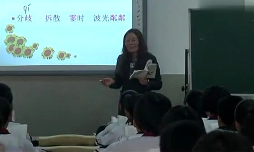 初中语文《散步》2013年第六届全国电子白板运用赛教学视频