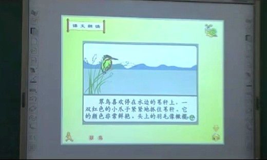 《翠鸟》小学语文优质课视频-北师大版三年级上册-杨占杰