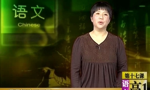 《巴黎圣母院》视频辅导-CCTV中学生-高级教师：吴欣韵-高一语文