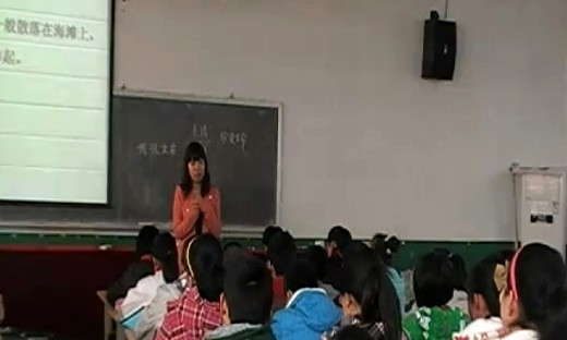 《我很重要》小学语文优质课视频-西师大版六年级下册-张亚玲