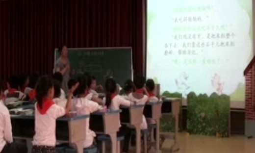 《小鸭子的问号》小学语文优质课视频-陈晓娜