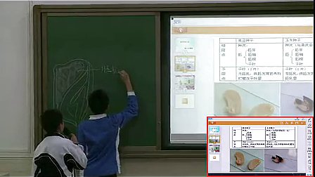 《种子的结构》初中七年级生物优质课视频-罗湖外语学校张晓芳