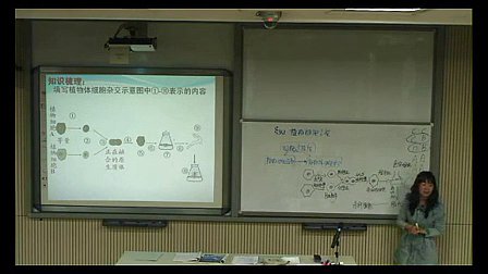 《植物细胞工程复习》高中高三生物优质课视频-深圳市第二高级中学孟杰