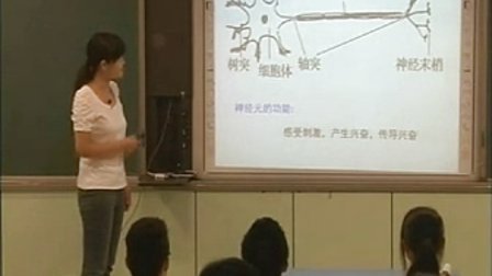 高中生物课《神经调节》教学视频-刘向华