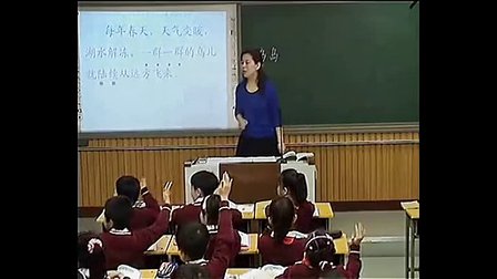 苏教版小学二年级下册《鸟岛》曹燕-优质课教学视频