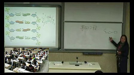 《基因工程》高中高三生物优质课视频-深圳市第二高级中学刘晓宏