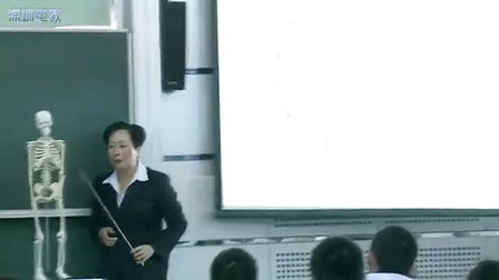 《动物的运动》初中八年级生物教学视频-深圳实验学校杨红
