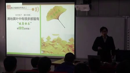 高二生物《其他植物激素》教学视频-曾旭东-2014年中南六省（区）生物教学研讨会