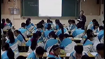 初中语文《在沙漠中心》优质课教学视频(8)