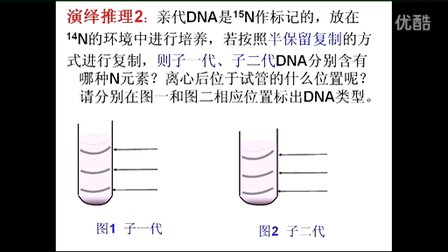2015优质课《DNA的复制》高中生物人教版必修二3.3-深圳外国语学校：蔡涛