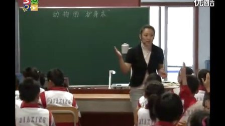 小学科学《动物的护身术》教学视频,王莹,全国小学科学优质课展示活动视频