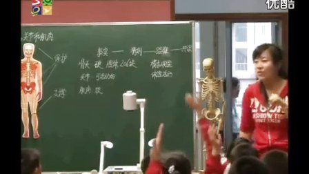 小学科学《骨骼、关节和肌肉》教学视频,乔红坤,全国小学科学优质课展示活动视频