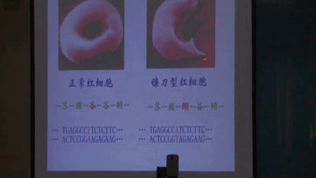 2015年江苏省高中生物优课评比《基因突变》教学视频,谈雷