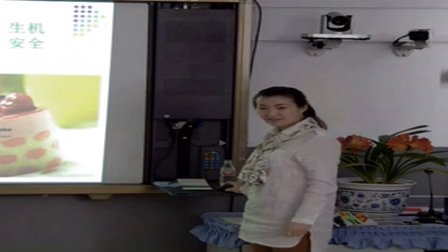 初中美术《色彩的魅力》教学视频,黑龙江,2015年部级优课评选入围视频