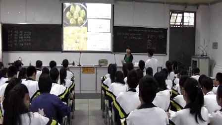 人教版初中八年级历史下册《人们生活方式的变化》教学视频,海南省