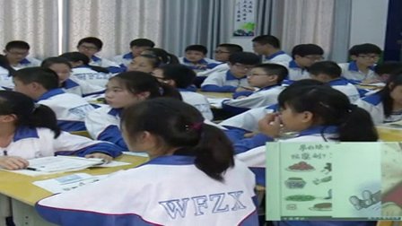 人教版七年级思想品德上册《生命和健康的权利》教学视频,湖北省