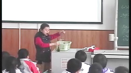 化学《盐的化学性质应用》许萍人教版九年级