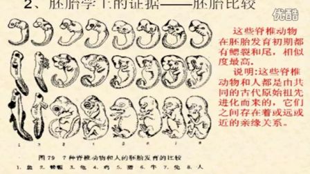 初中生物人教版八年级《生物的进化》名师微型课 北京谭荣誉