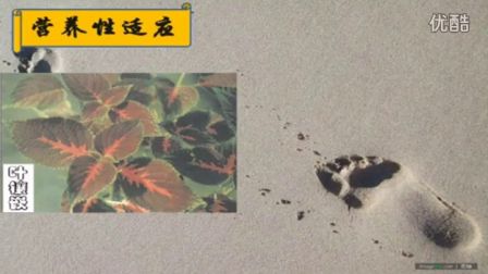 初中生物人教版七年级《生物对环境的适应和影响》名师微型课 北京钱冲