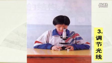 初中生物人教版七年级《显微镜的构造及其功能02》名师微型课 北京钱冲