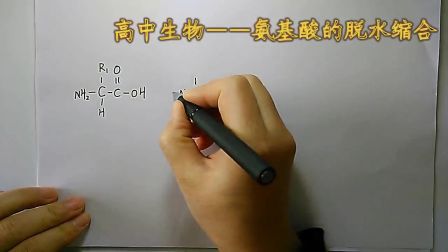 《氨基酸的脱水缩合》高一生物-合阳中学-樊晓丽-陕西省首届微课大赛