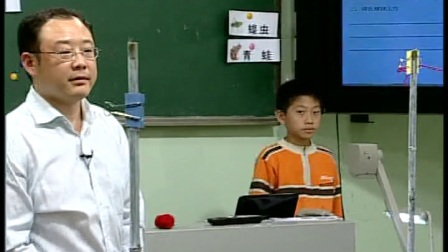 《有趣的食物链》苏教版科学五年级-南京市凤游寺小学：杨健