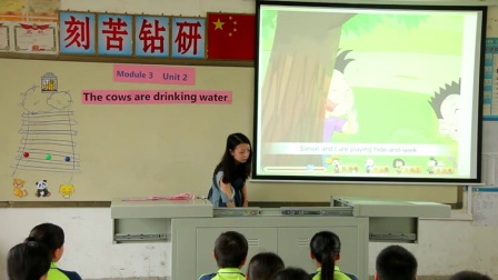 Water - 优质课公开课视频专辑