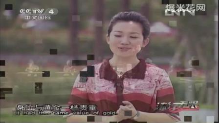 浙美版美术六年级《中国的非物质文化遗产》课堂教学视频实录-刘永永