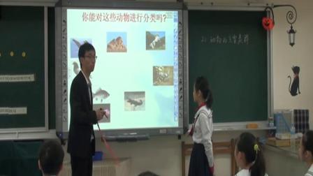 华师大版科学七上2.1《动物的主要类群》课堂教学视频实录-黄晓峰