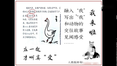 《写喜爱的动物》小学语文四年级写作指导教学视频-福州教育研究院-何捷