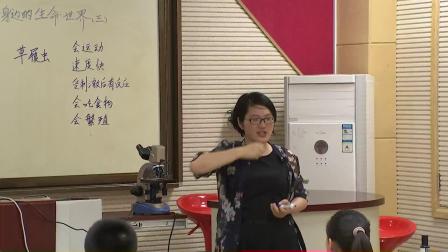 教科版小学科学六下《用显微镜观察身边的生命世界》课堂教学视频实录-李玲玲