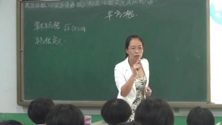 人教2011课标版数学七下-6.1《平方根》教学视频实录-刘莎