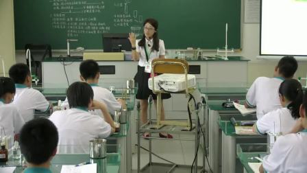 《第5章 细胞的能量供应和利用-一　捕获光能的色素和结构》人教版高一生物必修一教学视频-广东广州市-刘华
