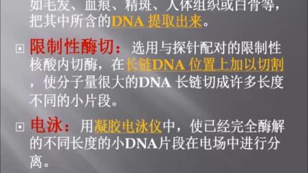 《第3章 基因的本质-科学·技术·社会　DNA指纹技术》人教版高一生物必修二教学视频-辽宁大连市_瓦房店市-赵培培